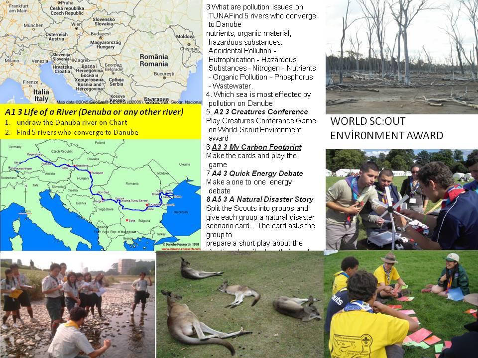 a sample world scout environment award work
