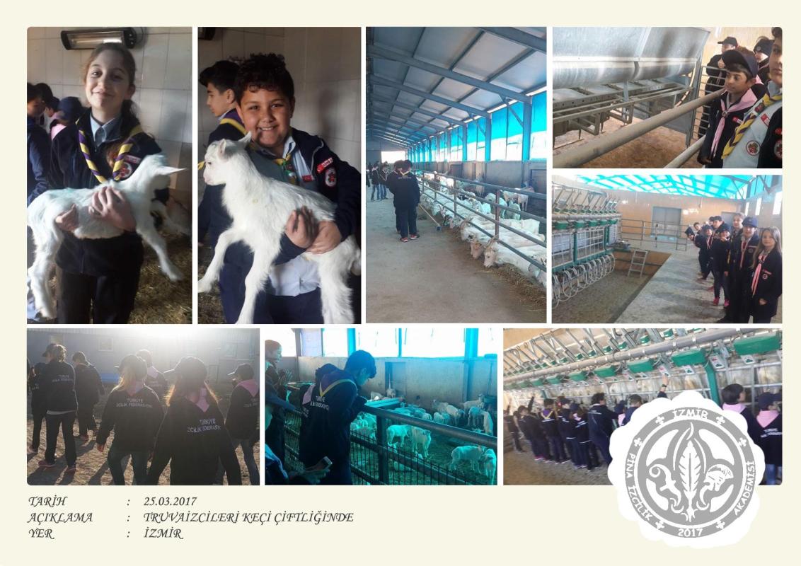 Visit to Goat Farm