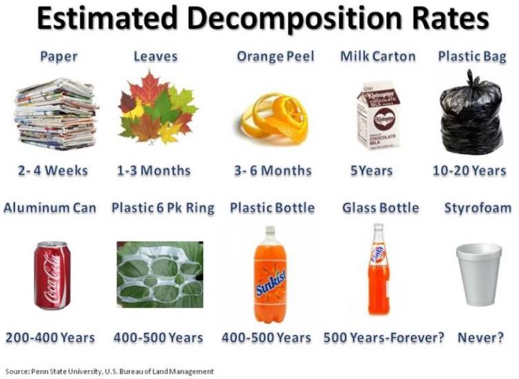 #How long until it is gone?
