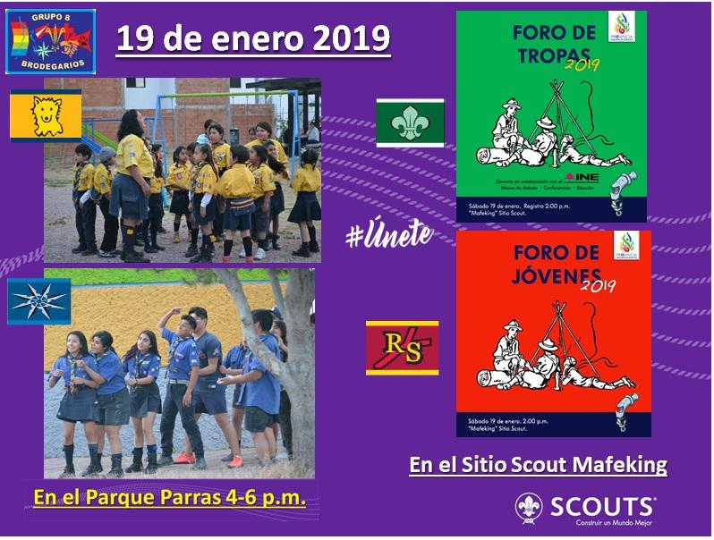 Actividades 19 de enero 2019