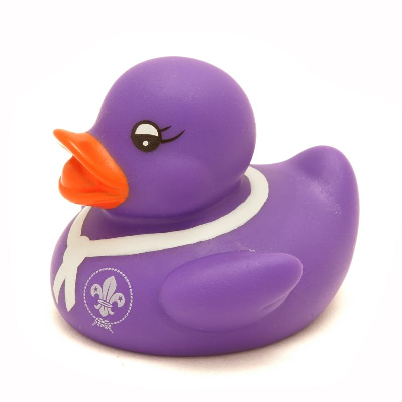 World Scout Duck