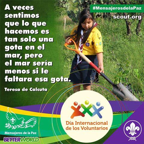 Dia del voluntariado
