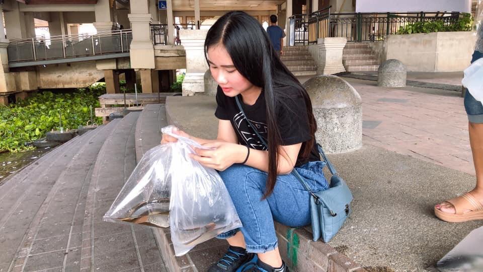 ทำบุญปล่อยปลา