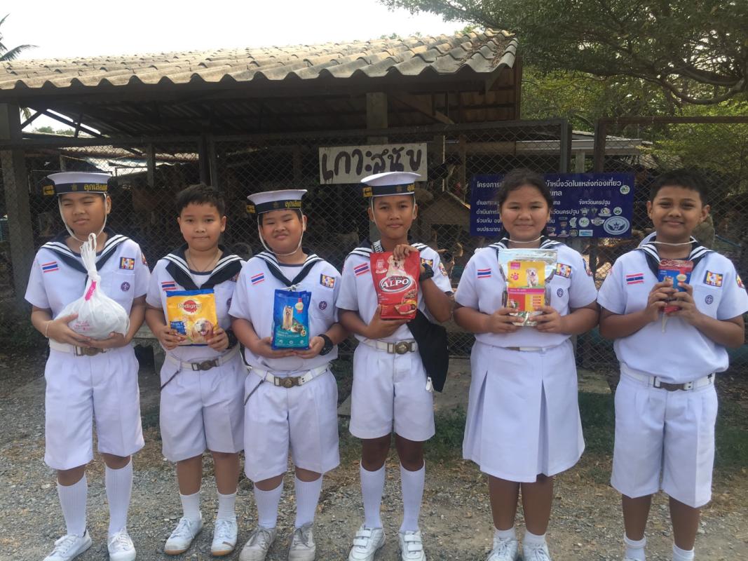 เลี้ยงอาหารสุนัขจรจัด