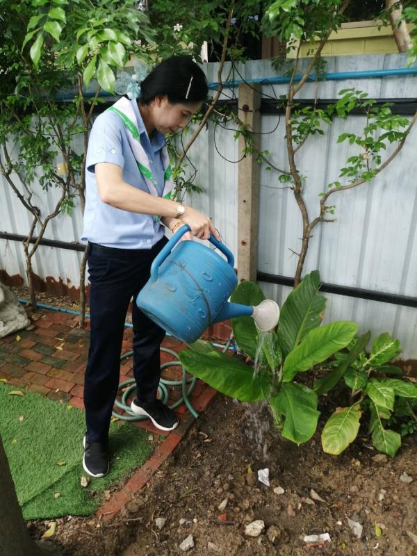 ดูแลต้นไม้ในโรงเรียน