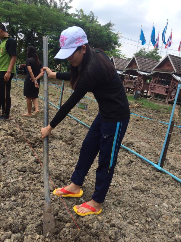 กิจกรรมจิตอาสา