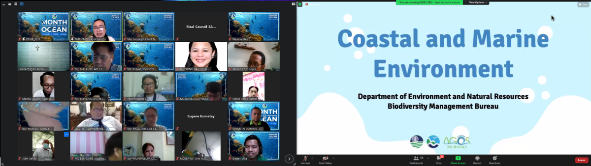 SANGALAB Circle 10 engaged Month of the Ocean Webinar 