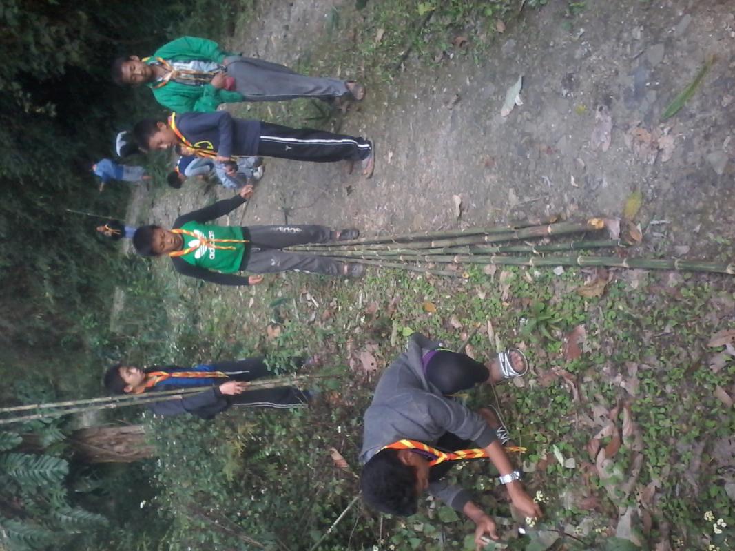 Creating new scout area