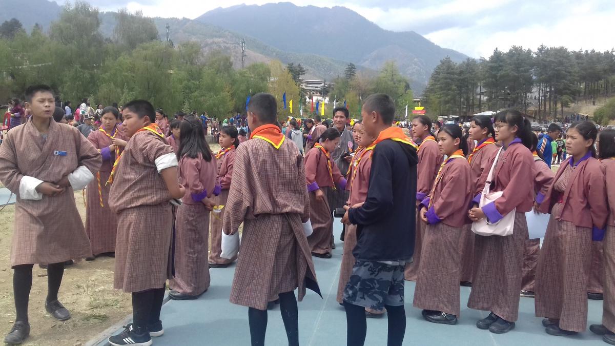 Mass cleaning  by scouts 