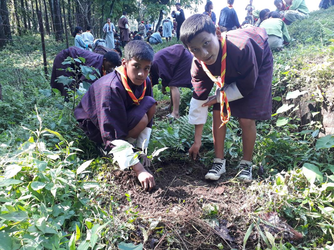 Planted trees to celebrate International Peace Day