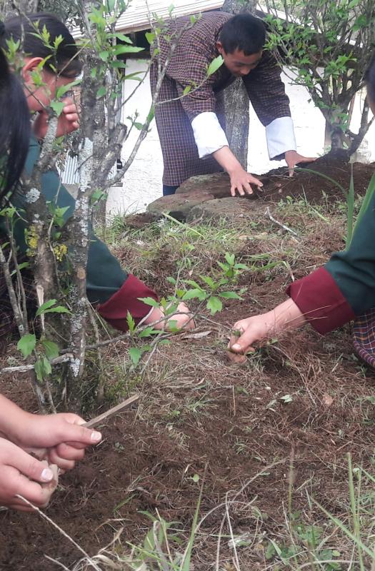 June 2, 2018 Social Forestry Day celebration