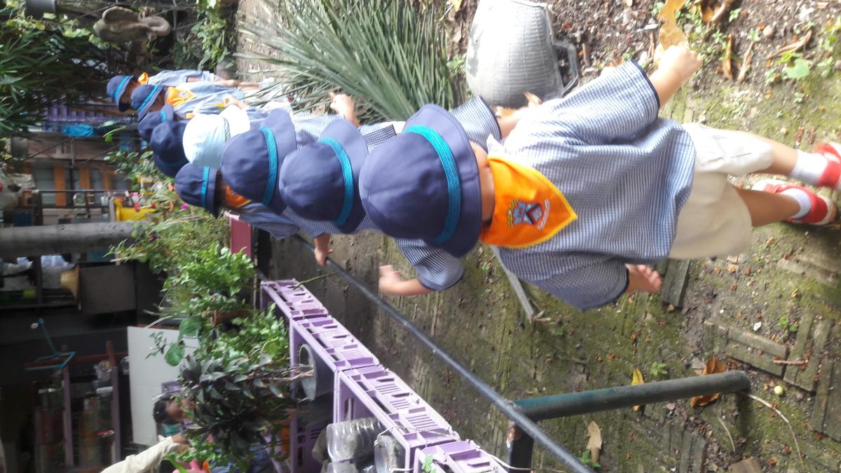 ช่วยกันดูแลต้นไม้