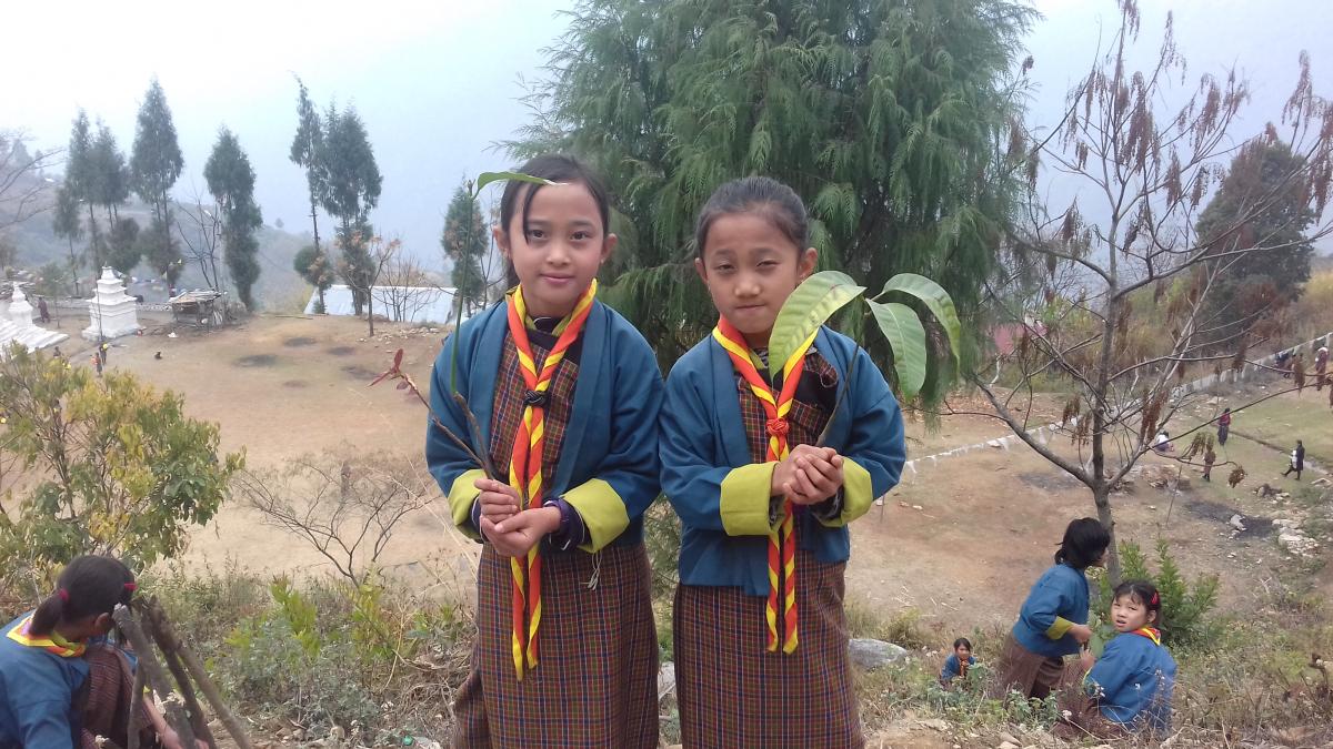 Beating air pollution by mass plantation.