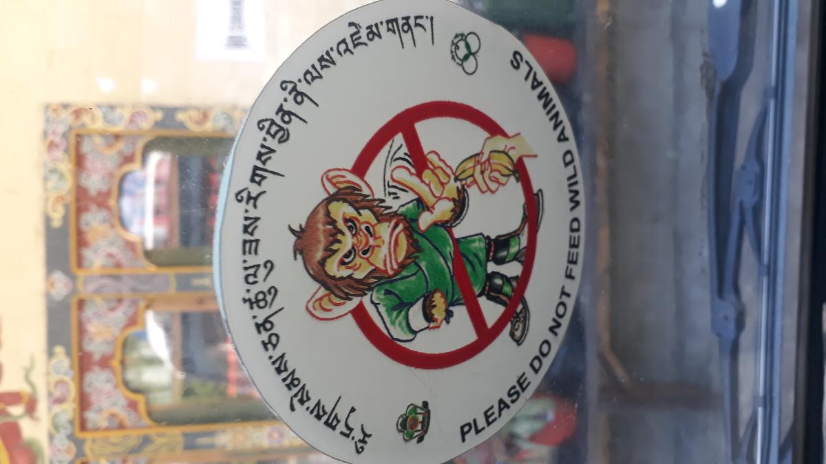 Monkey Awareness Program