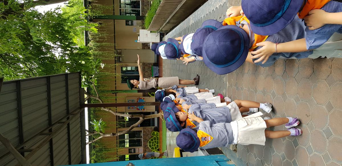 การเรียนลูกเสือ