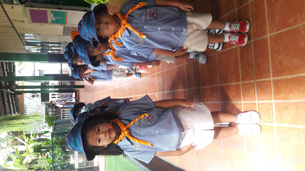 ฝึกระเบียบแถว