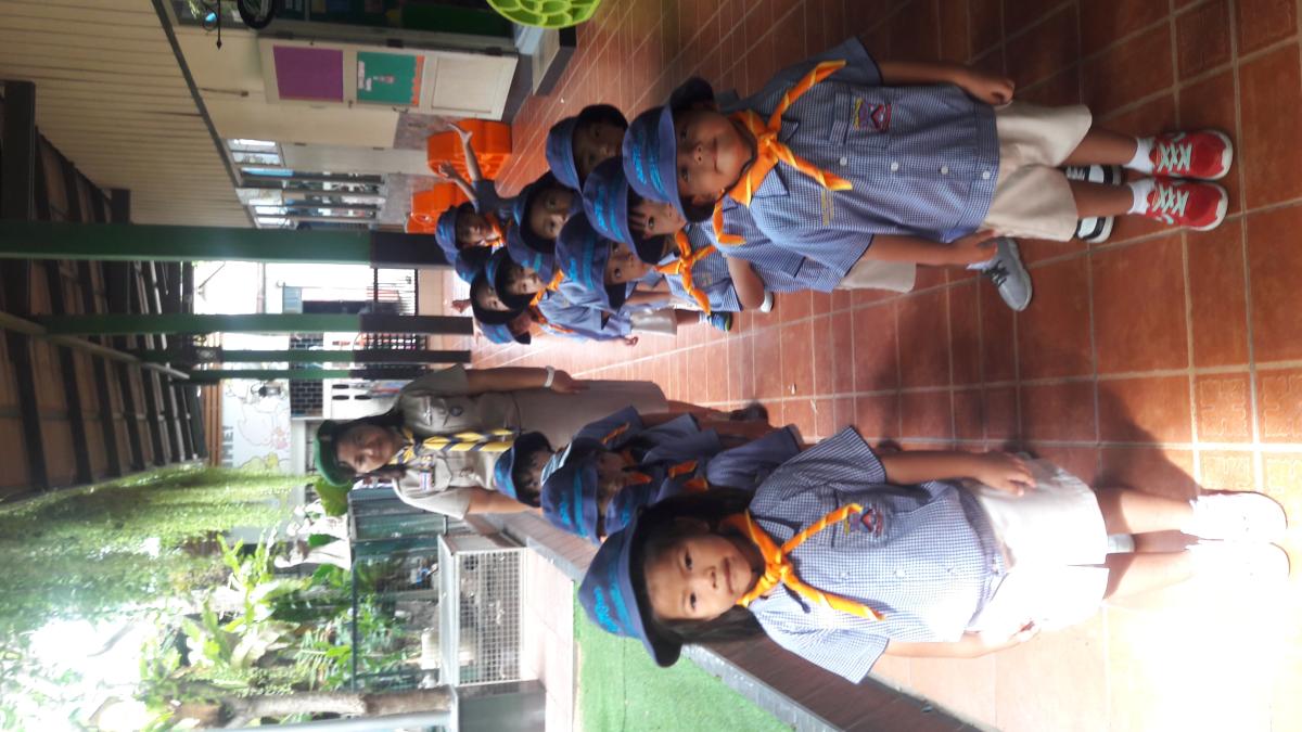 ฝึกระเบียบแถว