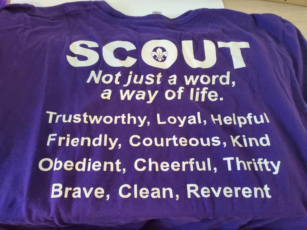 International Scouts 195 in USA