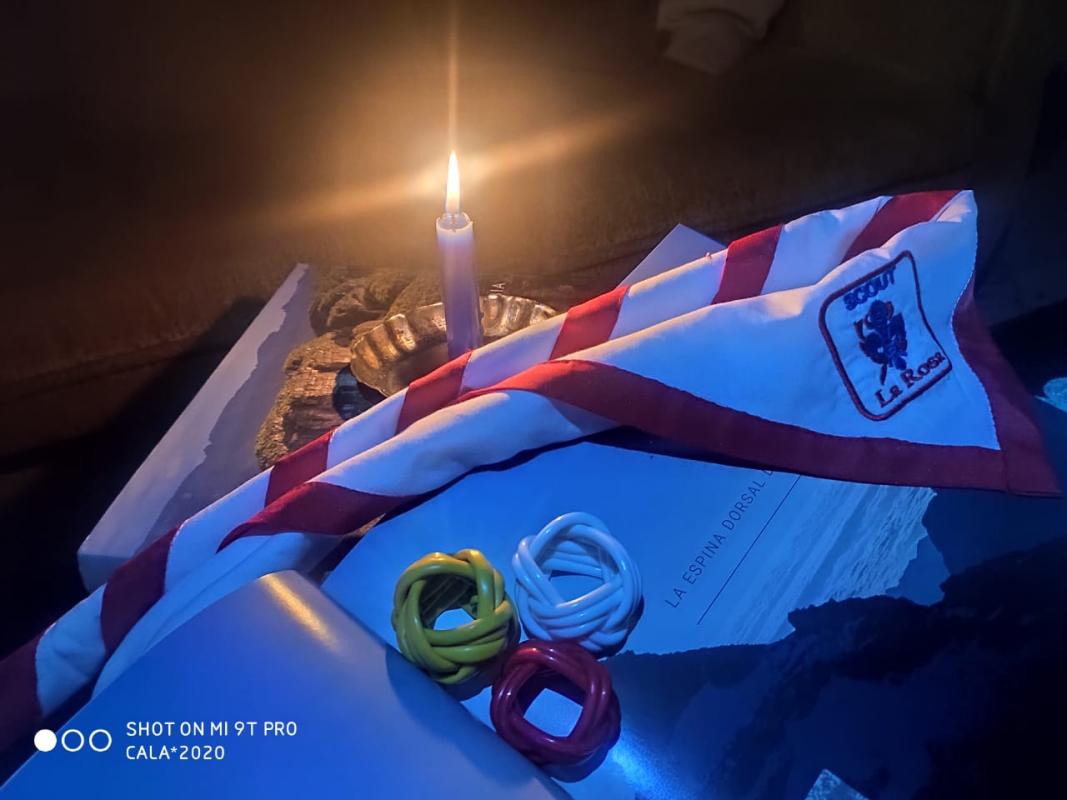 HORA DEL PLANETA, SCOUTS DE COLOMBIA, MANADA DE LOS HERMANOS GRIS