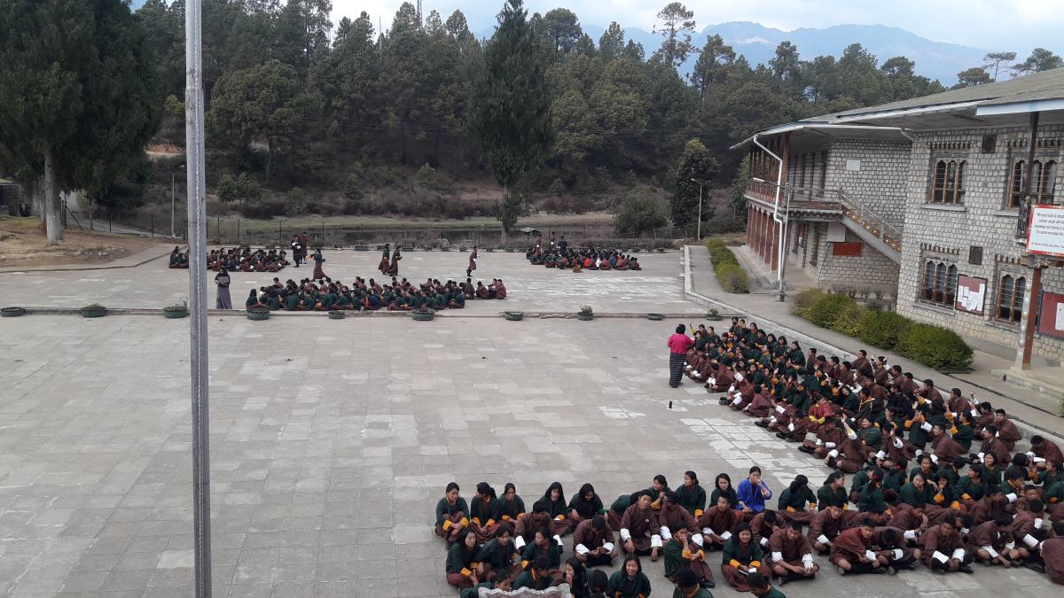 Scout - The whole school approach