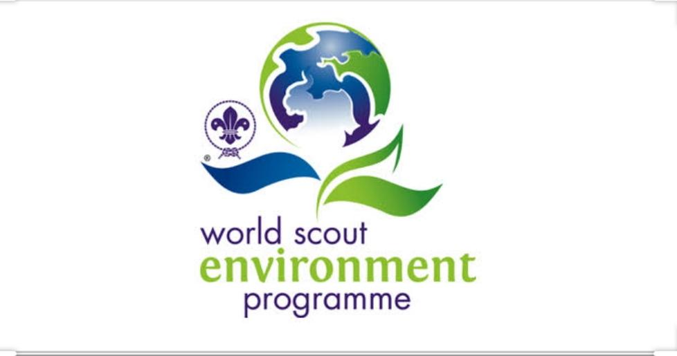 Environment and sustainability 
