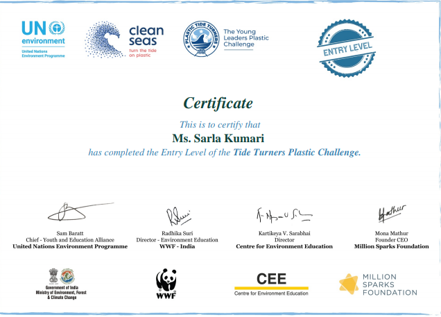 Tide turners Plastic challange