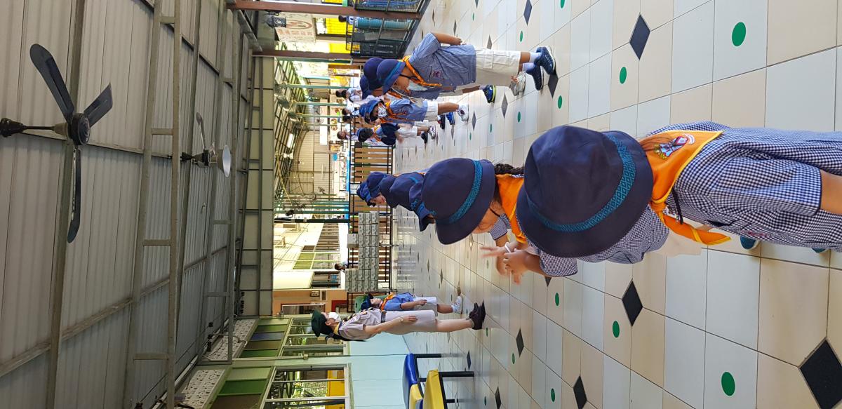 เรียนลูกเสือ