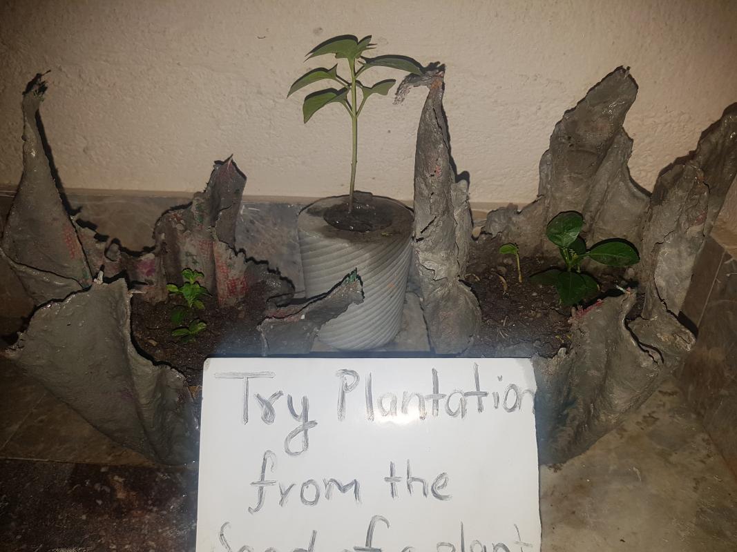 IDP-International Peace Day Celebration at HOME in covid pandemic 