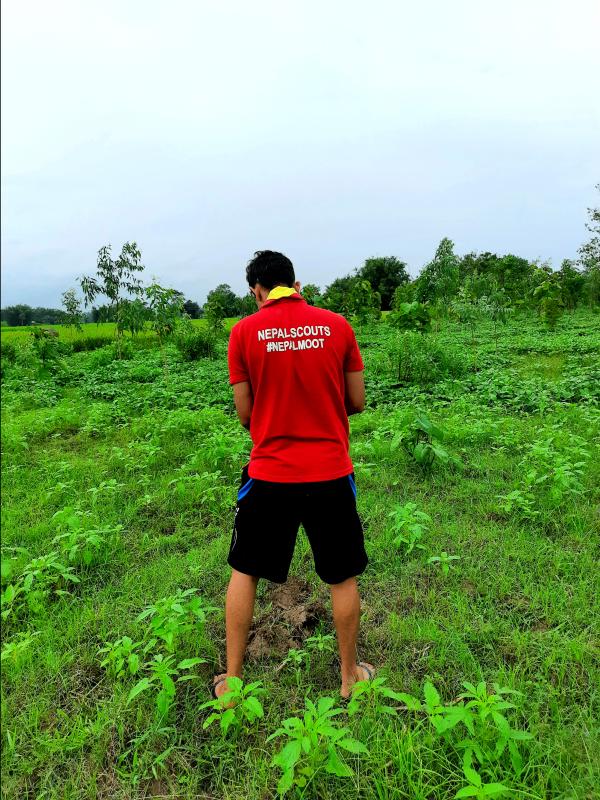 Tree Planting on "International Peace Day 2020"