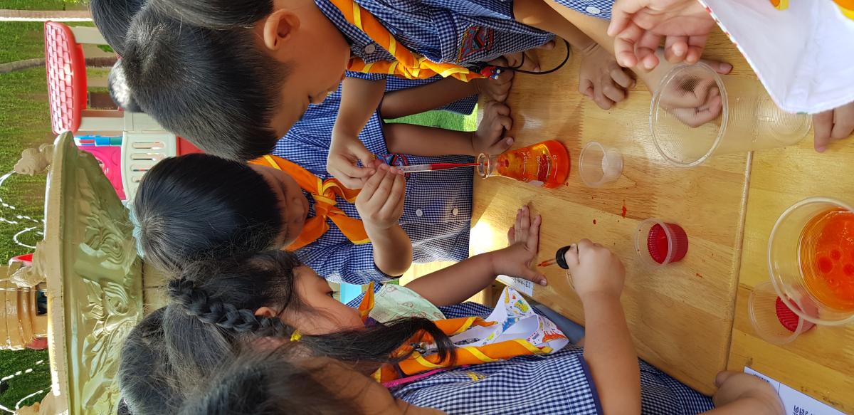 การเรียนรู้คือการหาคำตอบด้วยตนเอง