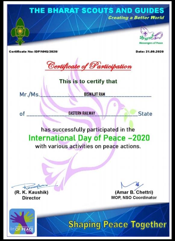 IDP-2020 CERTIFICATE 