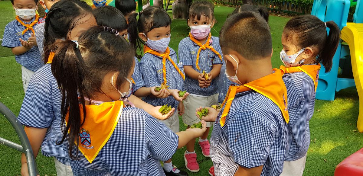 ลูกเสือทำความดี