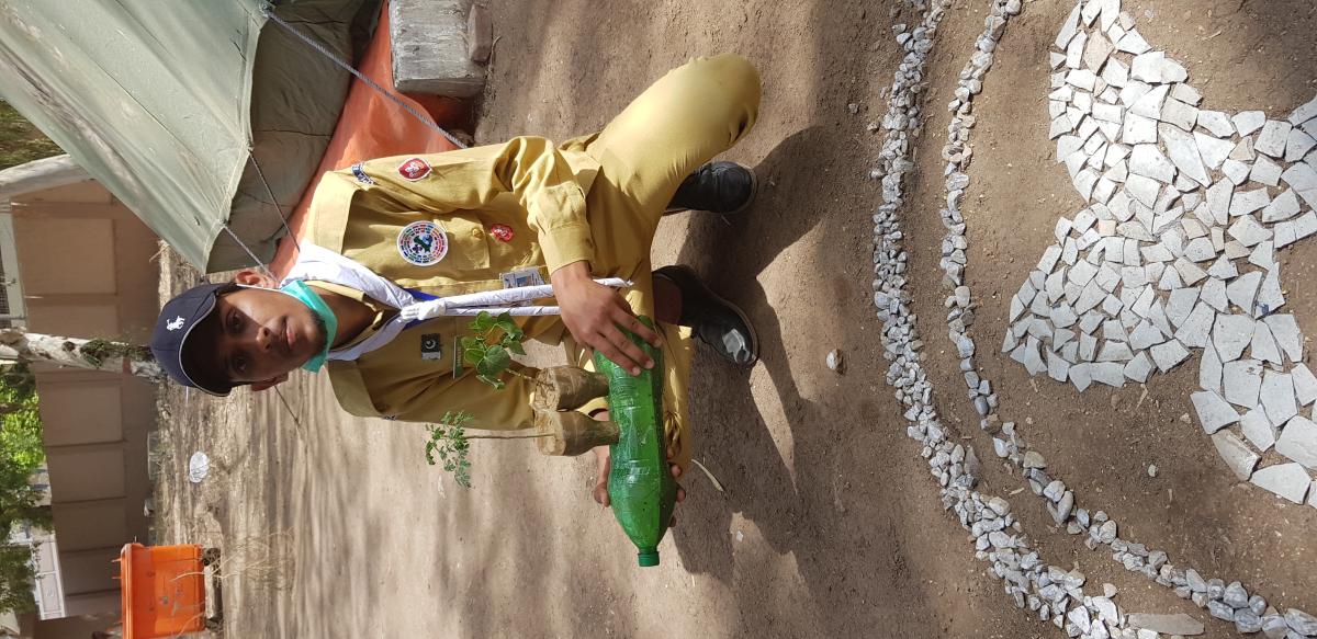 Environment  - Green wall