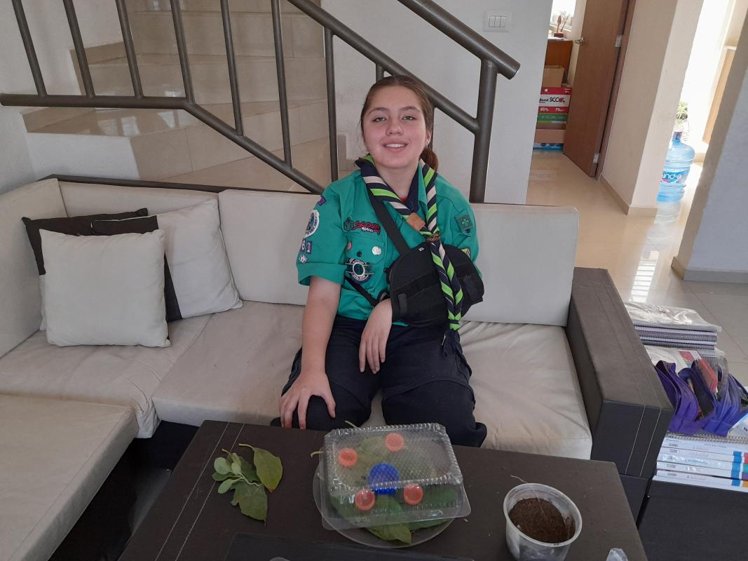 Go solar 2021 proyecto 11