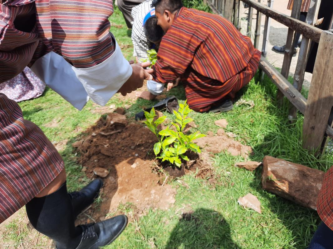 observing International Environmental Day