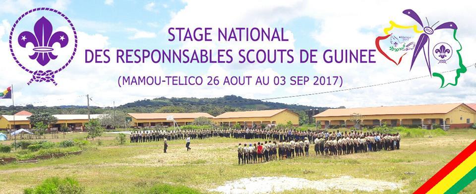 Rapport provisoire, projet de renforcement de la capacité en Bonne Gouvernance et Leadership de l'Association National des Scouts de Guinée