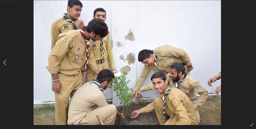 Plantation Activicty 