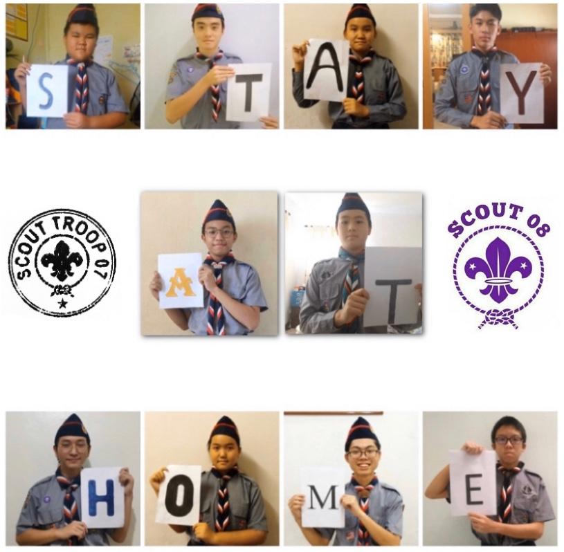 Scouts Stay At Home
