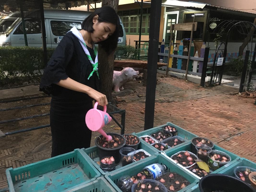 บำเพ็ญประโยชน์ รดน้ำต้นไม้