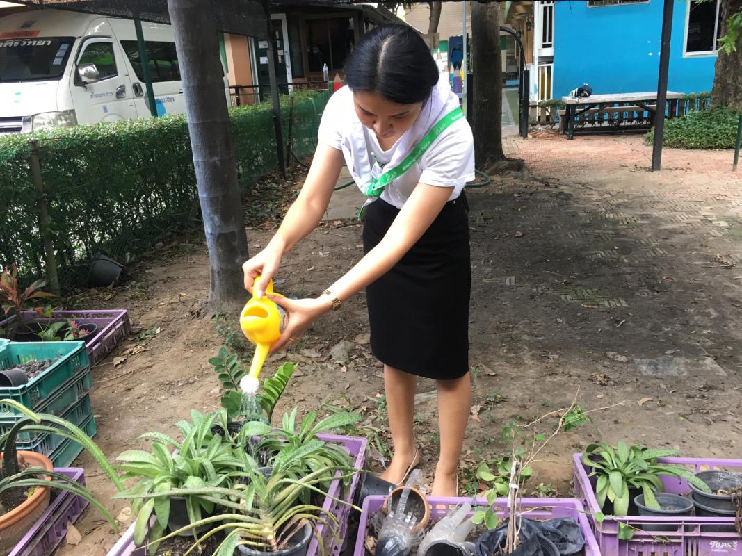บำเพ็ญประโยชน์ รดน้ำต้นไม้