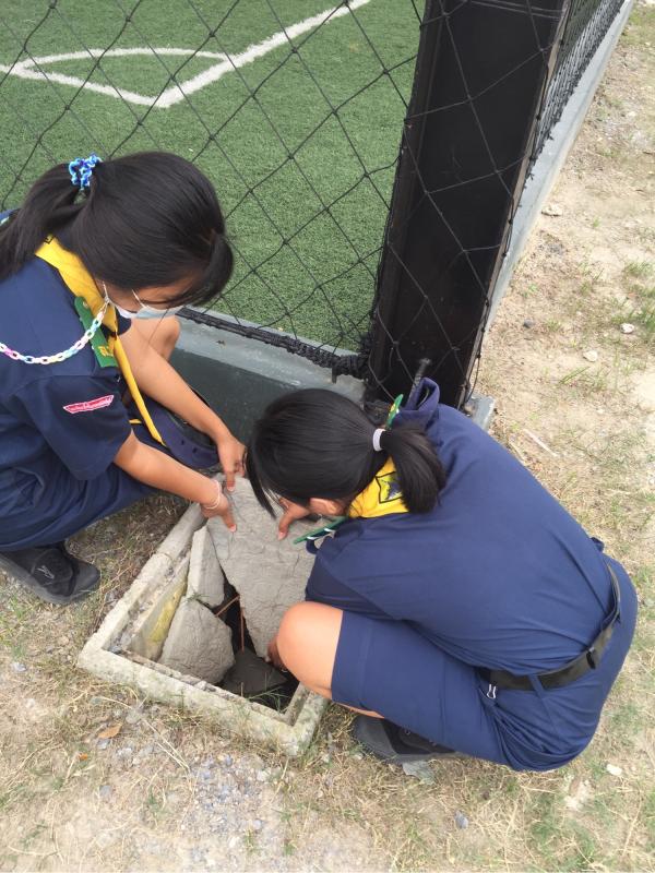 จัดของที่พัง