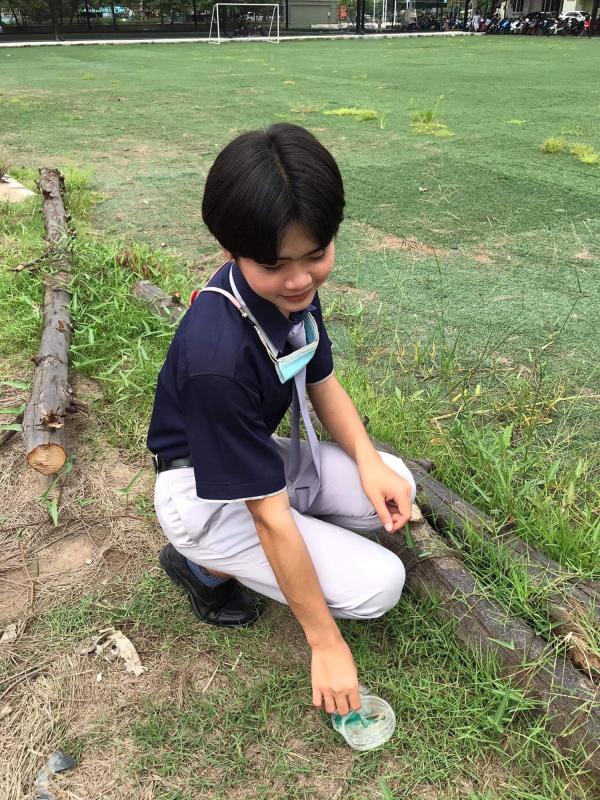 เก็บขยะ