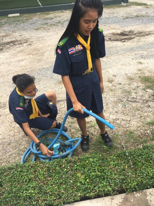 ช่วยกันลดน้ำต้นไม้