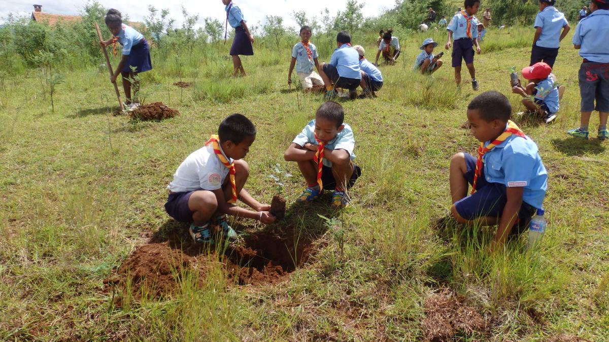 La campagne de reboisement 2021 des scouts de Madagascar en chiffre
