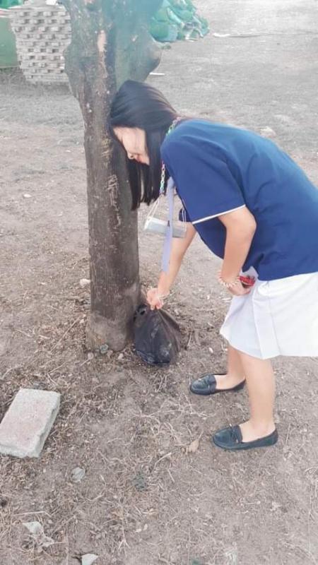 เก็บขยะ