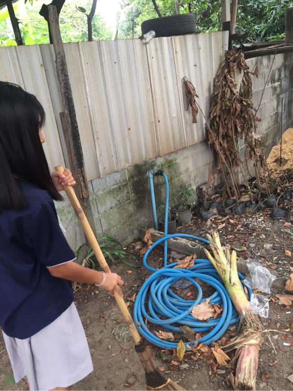 กวาดใบไม้