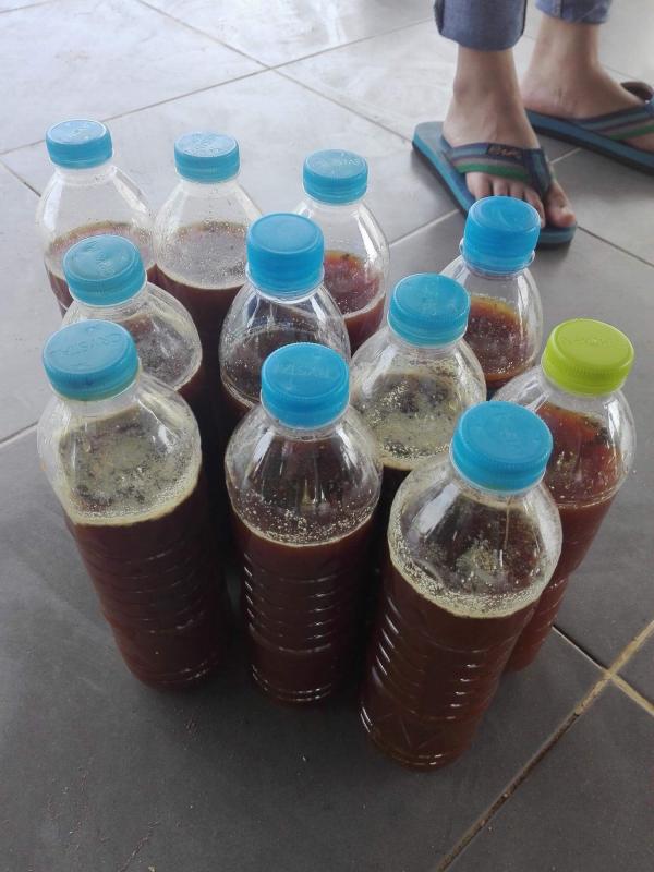 ทำแปลงเกษตร ปลูกผัก และกรอก emใส่ขวดพลาสติก