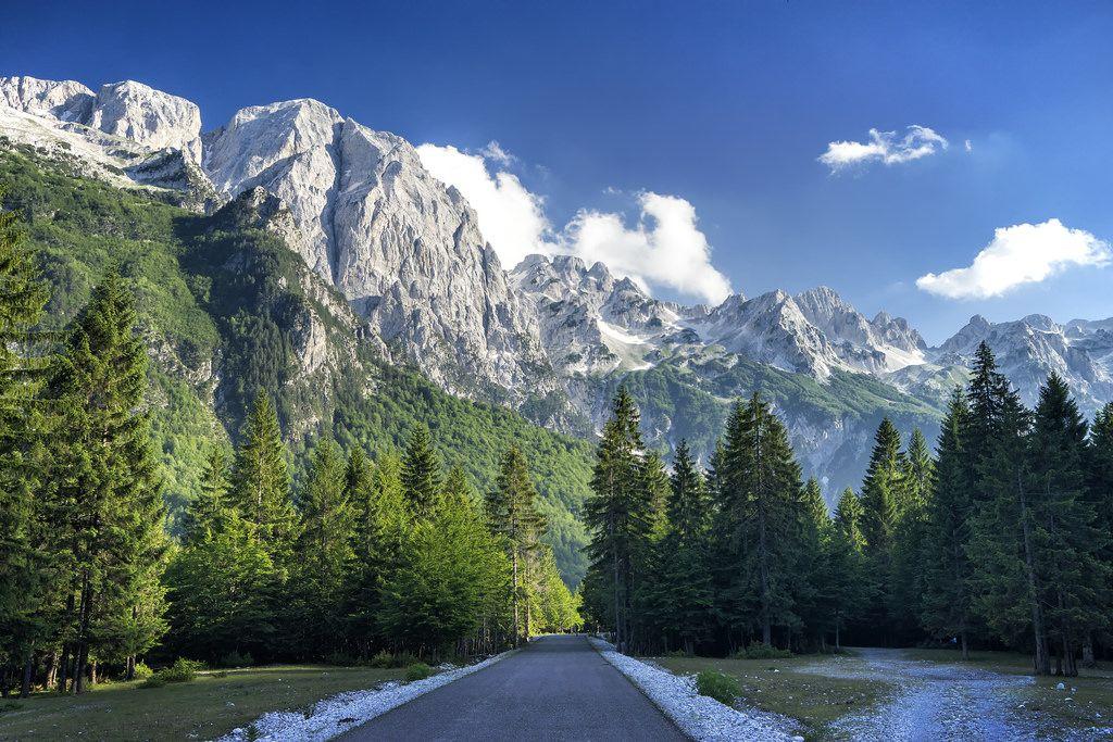 Help Us In Protecting Of Albania Natural Beauties. Forest Are Being Cutted Abnormally, Animals Being Massive Killed Some Endemic Plants Are Dissapering, Seas Are Polluted We Need To Do Something Before Everything Is Erased. 