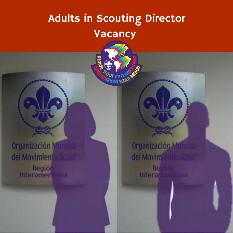  Adults in Scouting Director  Vacancy 