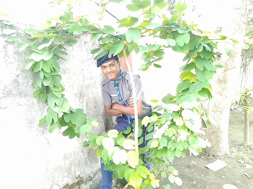 today celebrate world environment day 